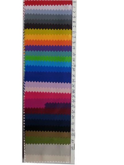 DG-BICG BC-2301 PL  背囊面料 正面照